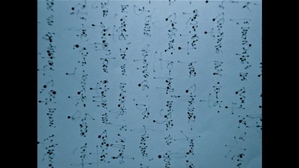 DISCO-cowboy   RAVAT PASCAL ET LAYAS BLANCA