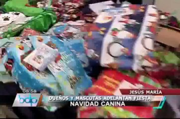 Jesús María: Vecinos compartieron junto a sus mascotas en "Chocolatada Canina"