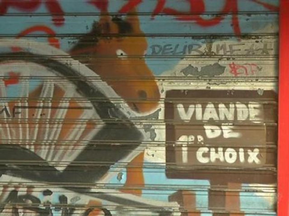 Trafic de viande de cheval: un coup dur pour la filière chevaline - 16/12