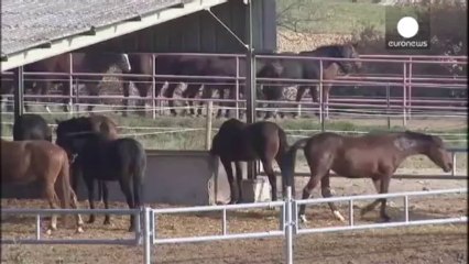 French police make arrests in new horsemeat scandal