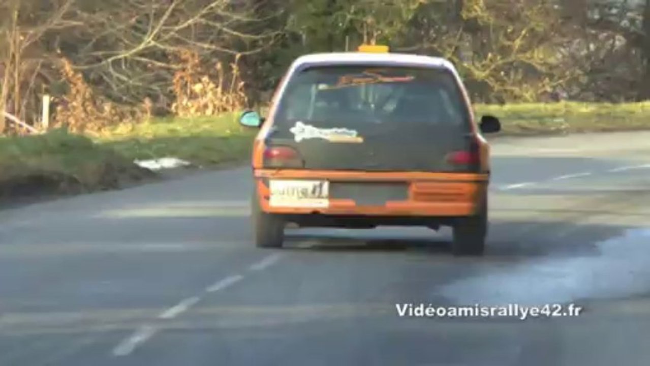 Téléthon de saint martin en haut  2013 avec auto de rallye