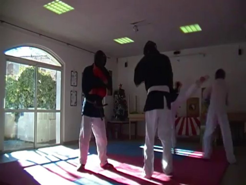 Rangeiko14Déc2013 r5