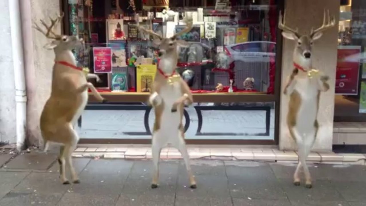 Dédicace à Lure (70) : un bien sympathique comité d'accueil !