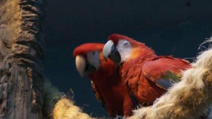 Давай поцелуемся!