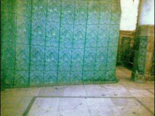 Hayat un Nabi(saw) in the light of hadith and opinions of salaf (Is RasulAllah alive in his grave?)-urdu