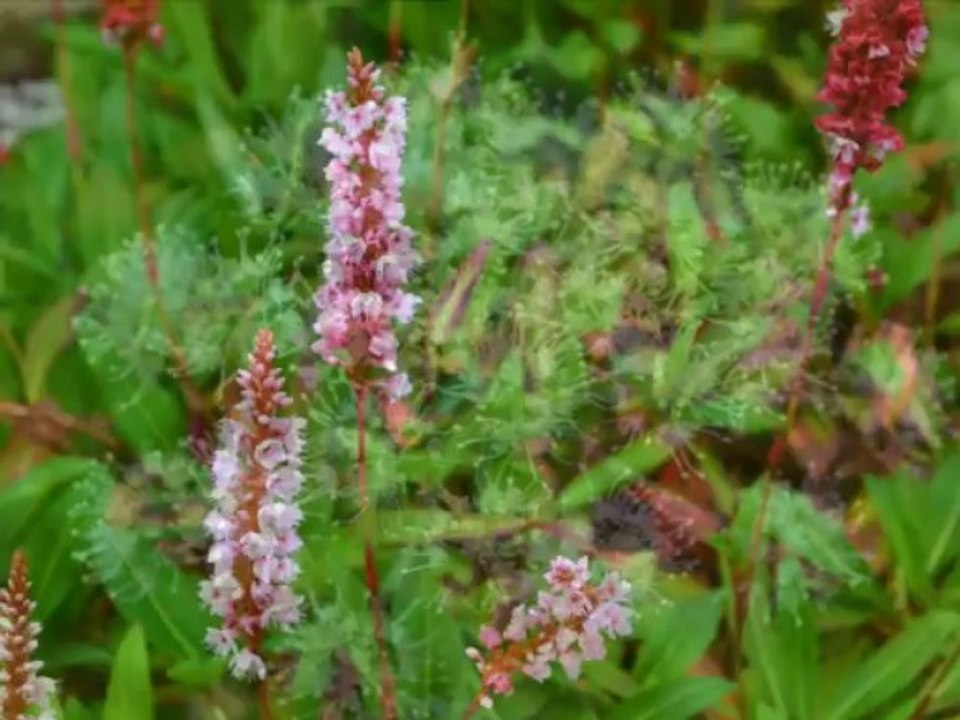 Erste Fotosammlung mit meiner Nikon - Spiegelreflex-Kamera