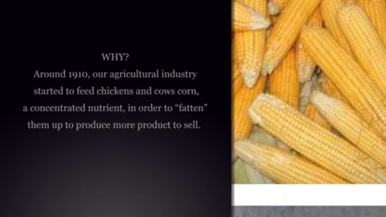 Fish Oil Omega 3 Fatty Acid: Why Fish Oil Omega 3 fatty acid is lacking?