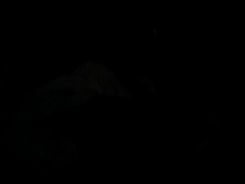 Vidéo-0002