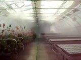 Hệ thống phun sương làm mát tưới lan tưới nấm tại hà nội lh 097 3939 527
