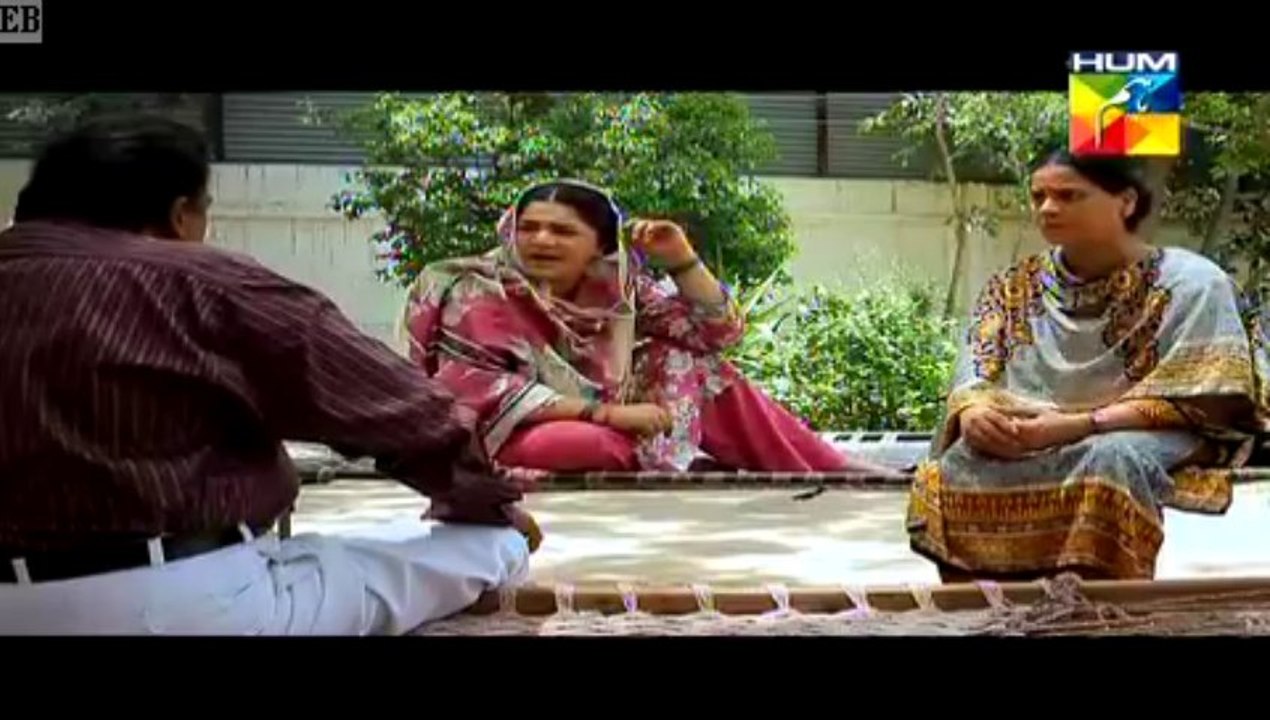 hum tv 1