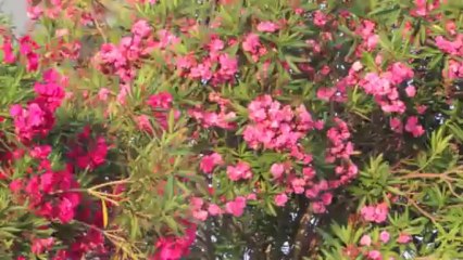 i will try to bring the clouds, november 2013