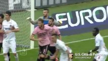 Palermo Cittadella 3-1 14/12/2013 by Giuseppe D'Agostino
