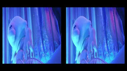 ΨΥΧΡΑ ΚΙ ΑΝΑΠΟΔΑ (FROZEN) - OFFICIAL TRAILER (3D HD) (1)