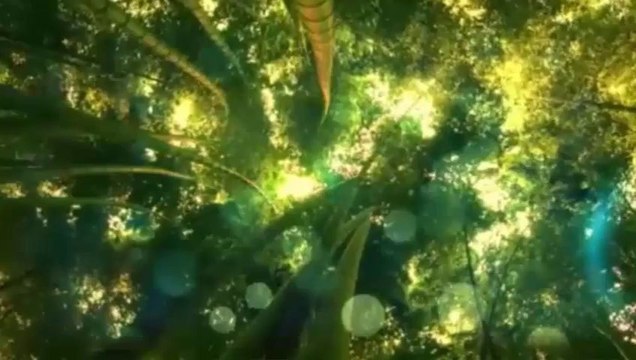 ilahi,SEDAT UÇAN - KANAYAN YARA FİLİSTİN