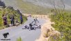 Massive Crash of Longskate Riders during mountain race !!
