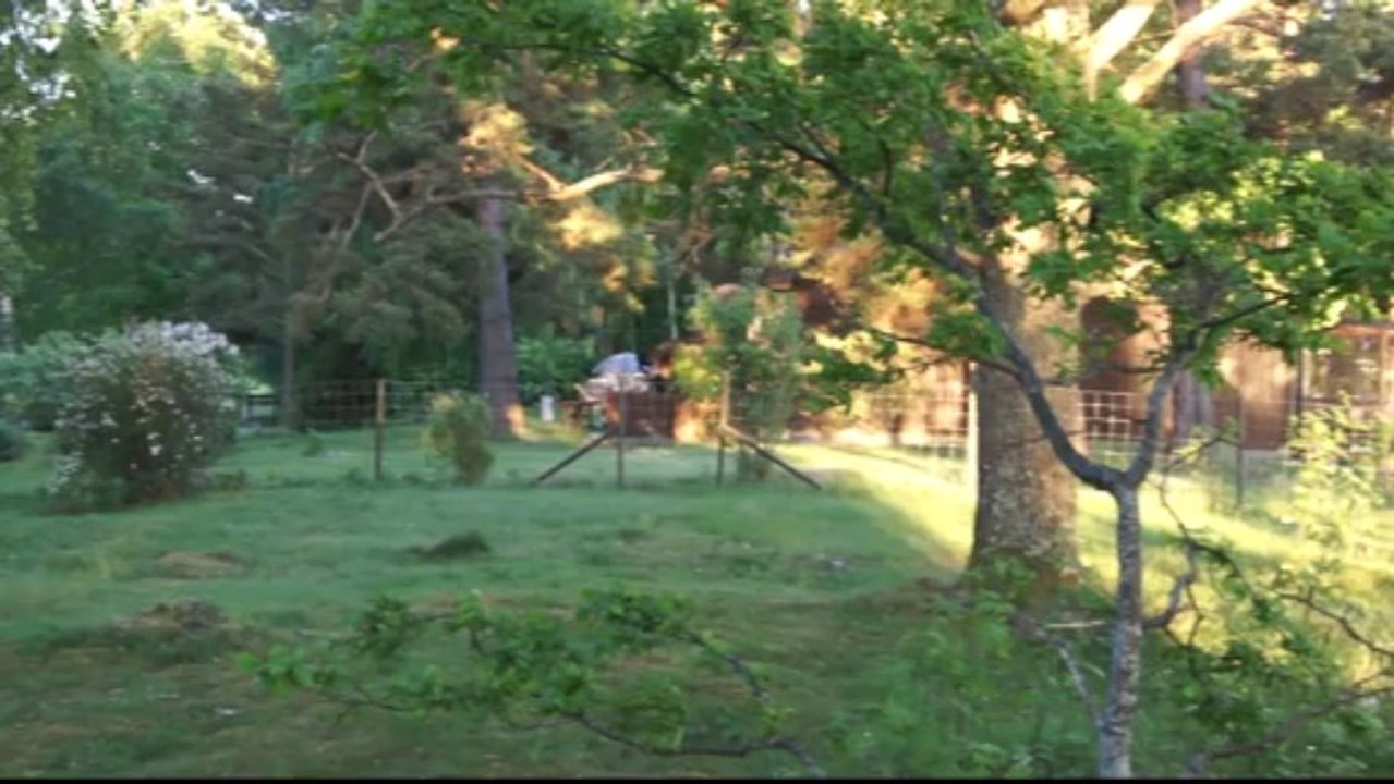 2011-06-04