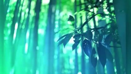 ilahikervani, HASAN DURSUN - SON DURAK