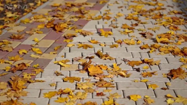 Свадебный Клип - Дмитрий и Ольга ВИДЕОСЪЕМКА ХАРЬКОВ. ДНЕПРОПЕТРОВСК, КРЫМ