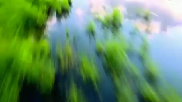 Jorg Schmid feat. Danielle - (I Just) Died In Your Arms Tonight (Super G. Remix)