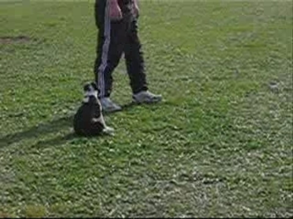 Video baraka.