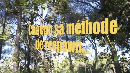 Airsoft Commando Casimir - 15 dec 2013 - Drapeaux