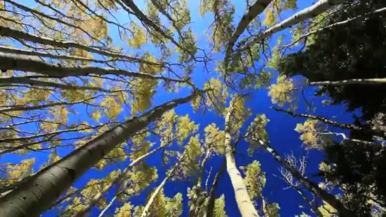 Blues to Gaïa