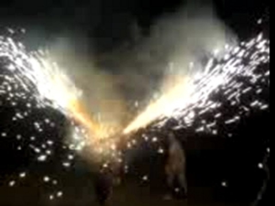 El magnifico Toro del Fuego