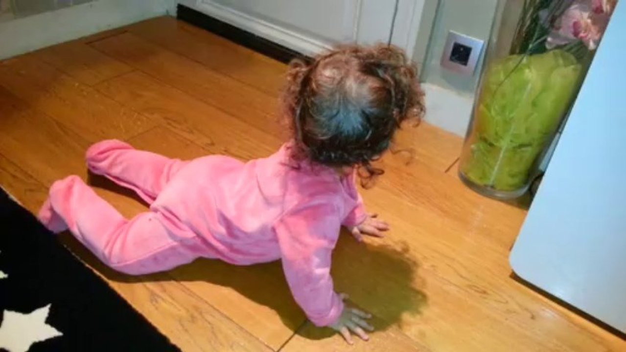 4 pattes sur le tapis