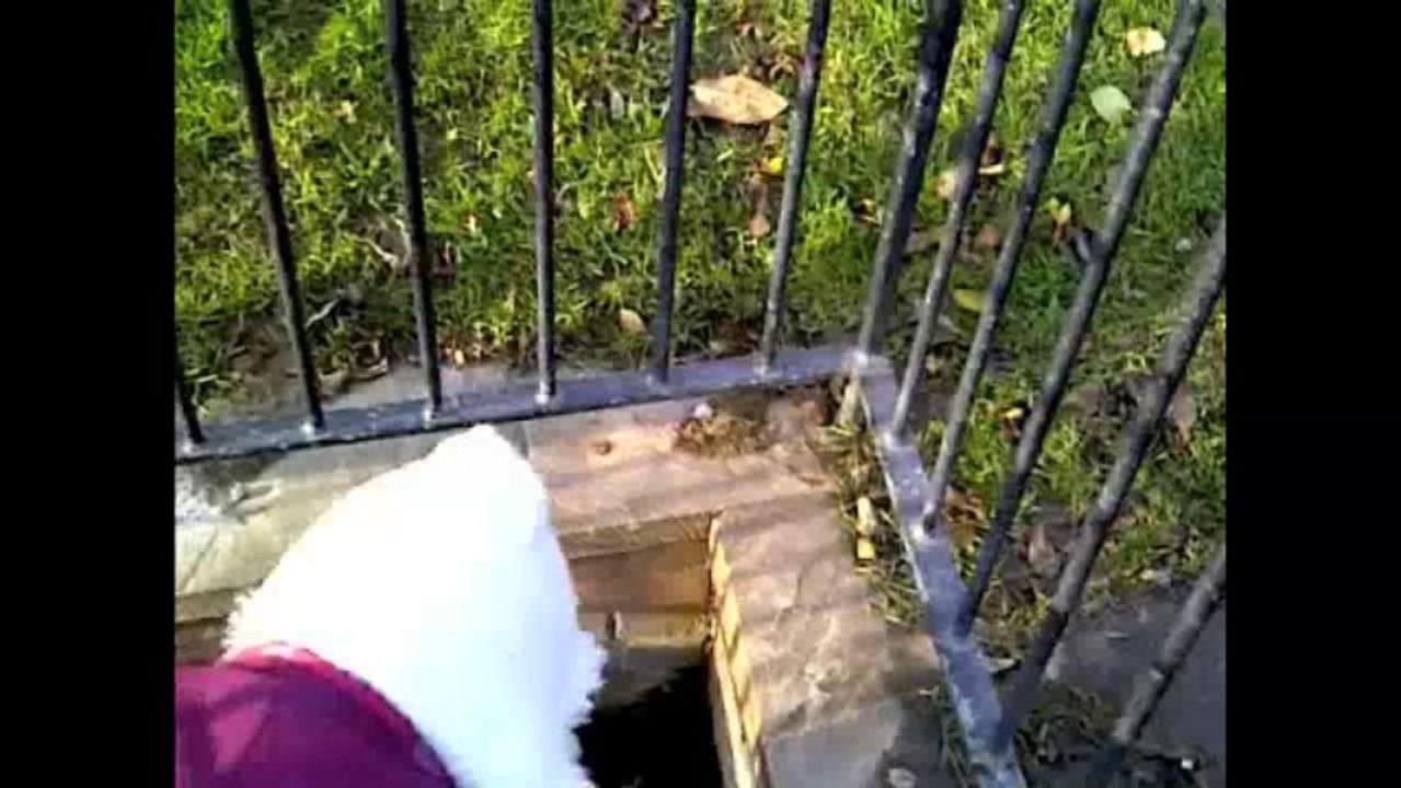 wild water foraging with kenny and holly