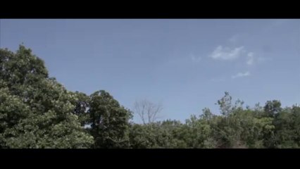 CG airplane test (old video)