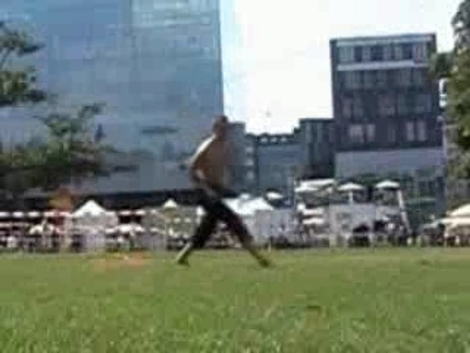 chan lee capoeira