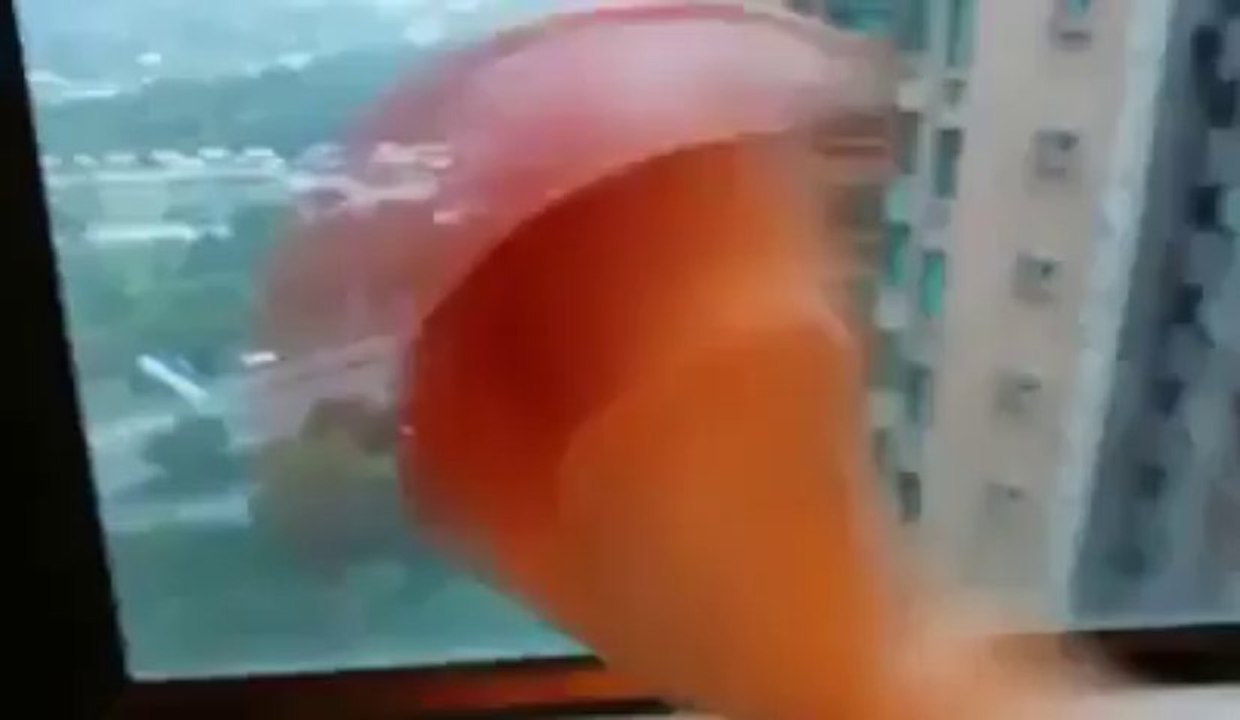 Cool way to remove egg shell!! - Must watch videos _ Facebook - Video Dailymotion