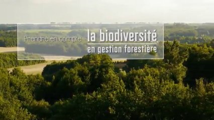 Prise en compte de la biodiversité en gestion forestière