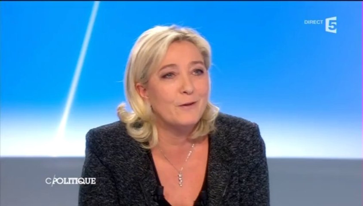 Marine Le Pen - 15 décembre 2013