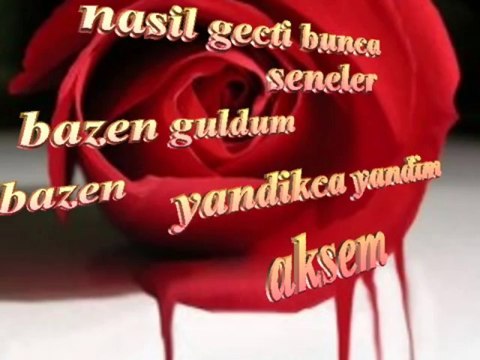 Müslüm Gürses Seneler