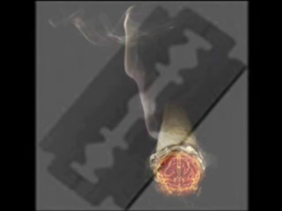 MüSLüM GüRSeS ŞaRKıLaR SeNiN İçiN !DamaR!