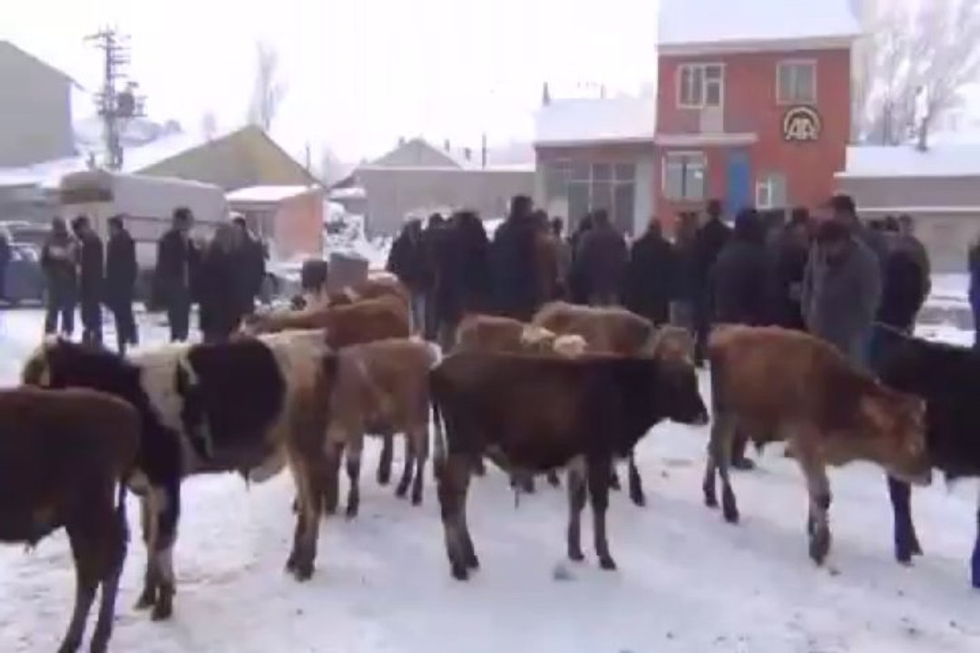 5 metrelik buz sarkıtı