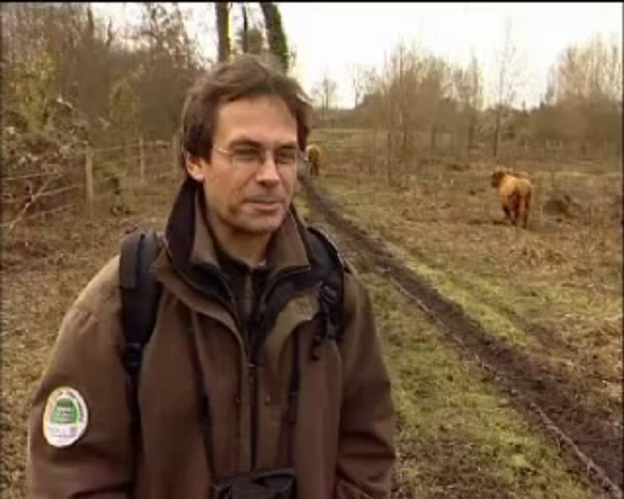 Interview de Jean-Marc Lustrat - Le marais de Misery