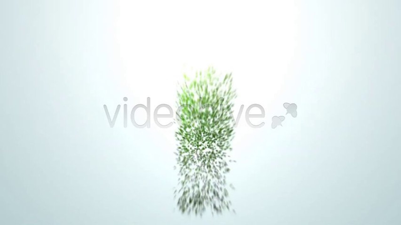 Creation. - After Effects Template