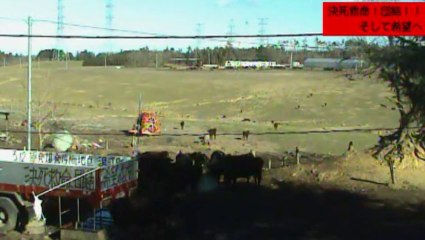 2013-12-16 11-10　牧場１号機　お食事とガガちゃん(^O^)