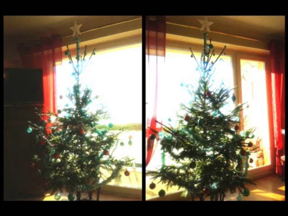 Sapin de Noël (Christmas tree) 2013