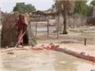 صناعة الملح في شمال كردفان