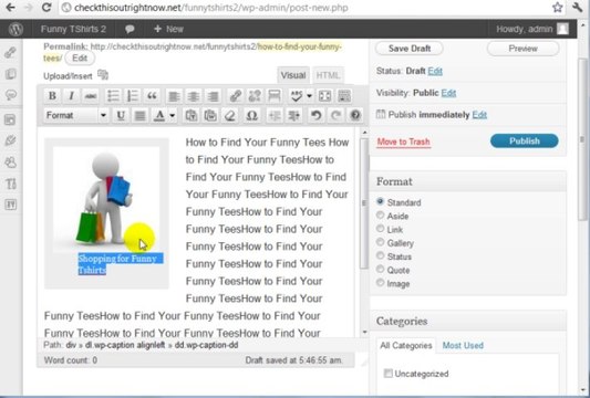 wordpress tutorial 08-How to make wordpress images-MP4