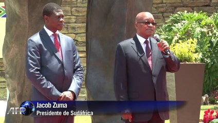 Un Mandela gigante en Pretoria