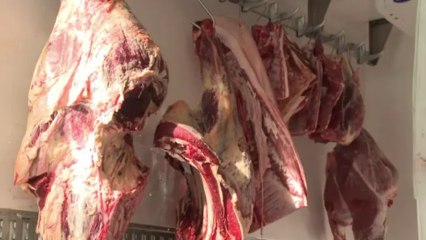 Vaste opération sur un trafic présumé de viande de cheval