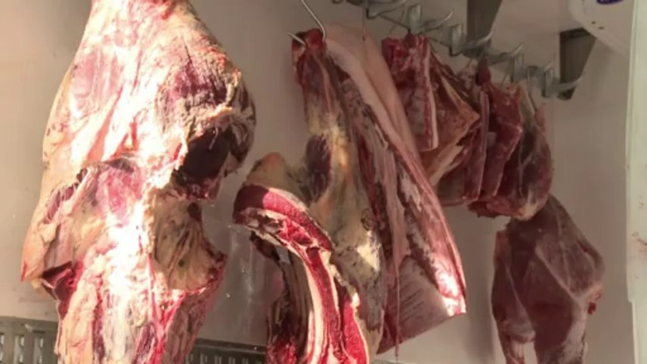 Vaste opération sur un trafic présumé de viande de cheval