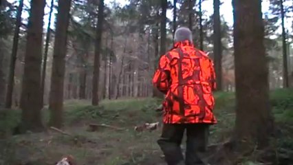 Moutiers 14-12-13 Arrêt  Boussole  puis Itou  Béccasse part loin devant.