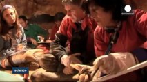 İspanya'da Buzul Çağ'da yaşayan insan fosili bulundu