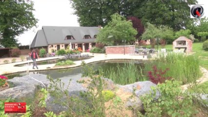 Bassin de jardin en cascade