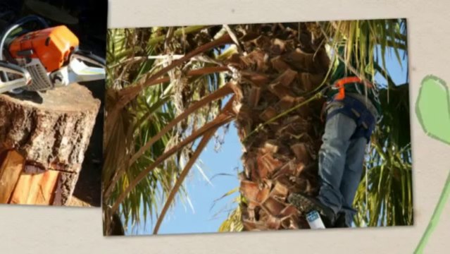 Ethun's Firewood Sales & Tree Removal (608) 846-5003